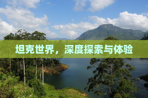 坦克世界，深度探索与体验