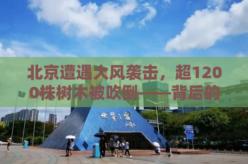 北京遭遇大风袭击，超1200株树木被吹倒——背后的生态挑战与应对之策