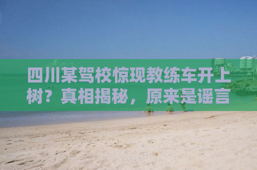 四川某驾校惊现教练车开上树？真相揭秘，原来是谣言！