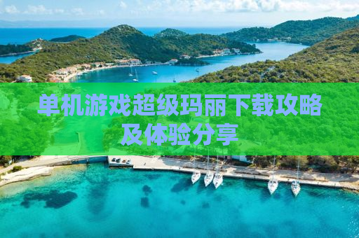 单机游戏超级玛丽下载攻略及体验分享