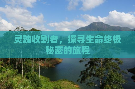灵魂收割者，探寻生命终极秘密的旅程