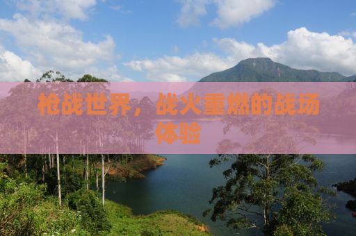 枪战世界，战火重燃的战场体验