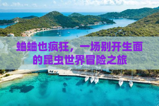 蛐蛐也疯狂，一场别开生面的昆虫世界冒险之旅
