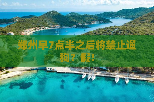 郑州早7点半之后将禁止遛狗？假！