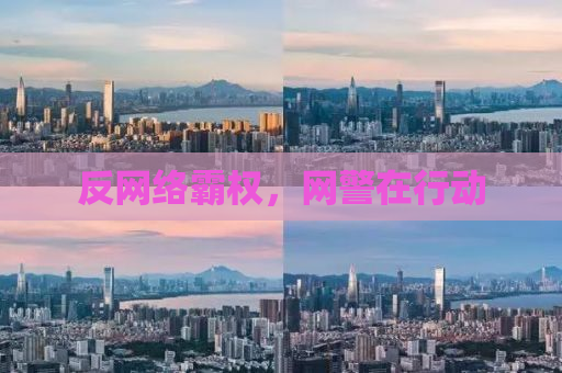 反网络霸权，网警在行动