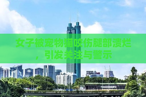 女子被宠物猫咬伤腿部溃烂，引发关注与警示