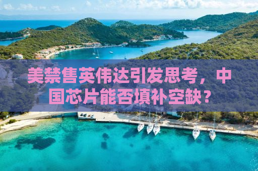 美禁售英伟达引发思考，中国芯片能否填补空缺？