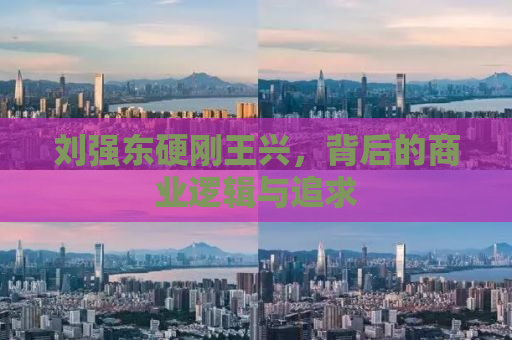 刘强东硬刚王兴，背后的商业逻辑与追求