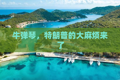 牛弹琴，特朗普的大麻烦来了