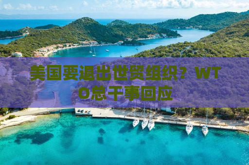 美国要退出世贸组织？WTO总干事回应