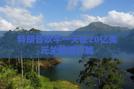 特朗普吹牛一天征20亿美元关税遭打脸