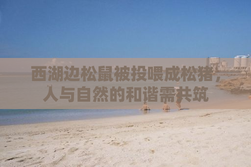 西湖边松鼠被投喂成松猪，人与自然的和谐需共筑