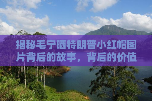 揭秘毛宁晒特朗普小红帽图片背后的故事，背后的价值引发市场热议，股票图片引发关注热潮，股价涨至77美元！