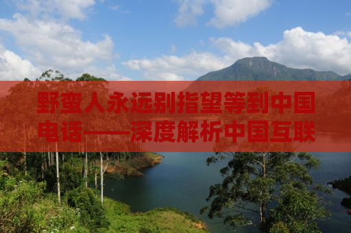 野蛮人永远别指望等到中国电话——深度解析中国互联网行业的崛起与未来挑战
