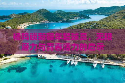 杨鸣谈新疆年轻球员，无限潜力与青春活力的启示