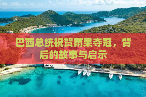 巴西总统祝贺雨果夺冠，背后的故事与启示