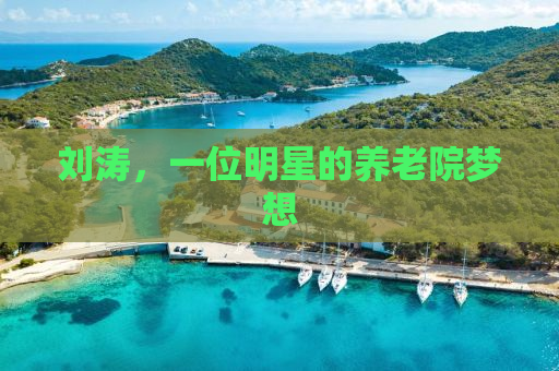 刘涛，一位明星的养老院梦想