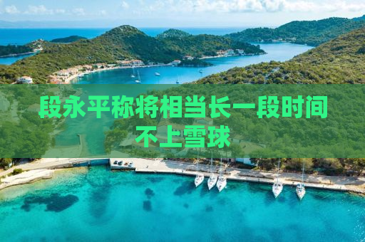 段永平称将相当长一段时间不上雪球