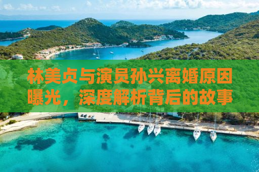 林美贞与演员孙兴离婚原因曝光，深度解析背后的故事