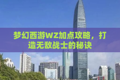 梦幻西游WZ加点攻略，打造无敌战士的秘诀