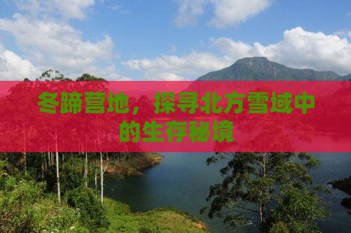 冬蹄营地，探寻北方雪域中的生存秘境
