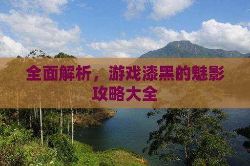 全面解析，游戏漆黑的魅影攻略大全