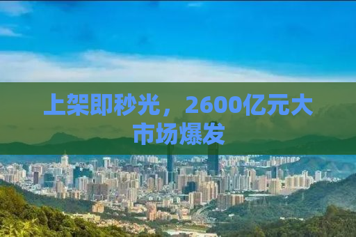 上架即秒光，2600亿元大市场爆发