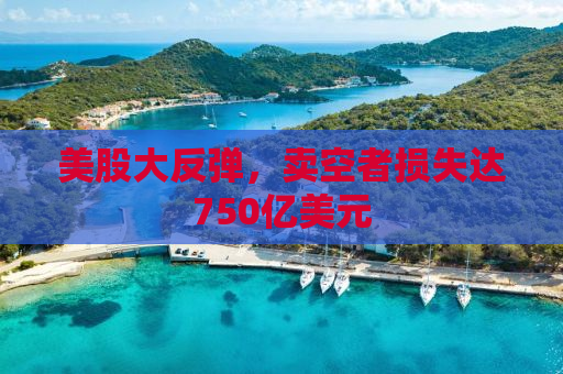 美股大反弹，卖空者损失达750亿美元