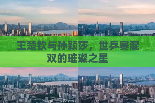 王楚钦与孙颖莎，世乒赛混双的璀璨之星