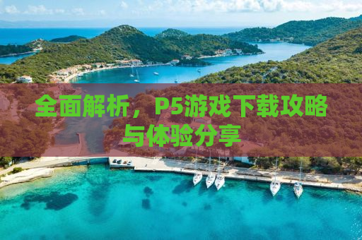 全面解析，P5游戏下载攻略与体验分享